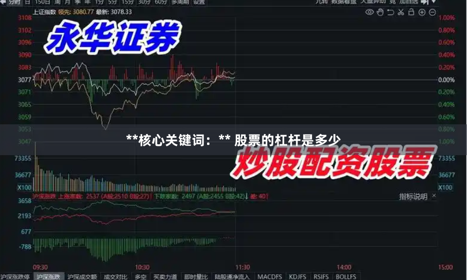 **核心关键词：** 股票的杠杆是多少