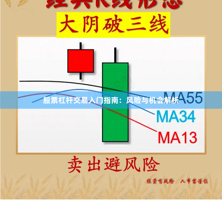 股票杠杆交易入门指南：风险与机会解析