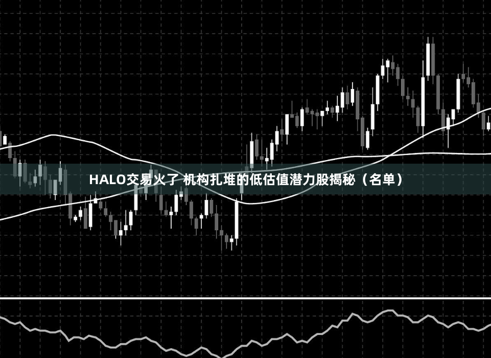 HALO交易火了 机构扎堆的低估值潜力股揭秘（名单）