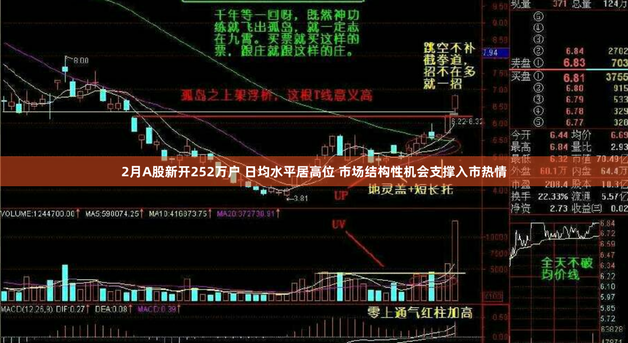 2月A股新开252万户 日均水平居高位 市场结构性机会支撑入市热情