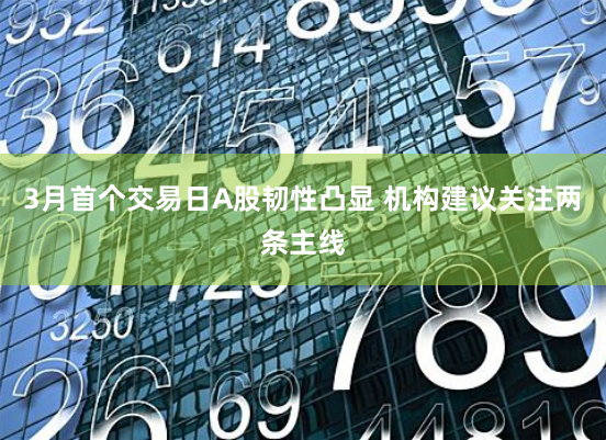 3月首个交易日A股韧性凸显 机构建议关注两条主线
