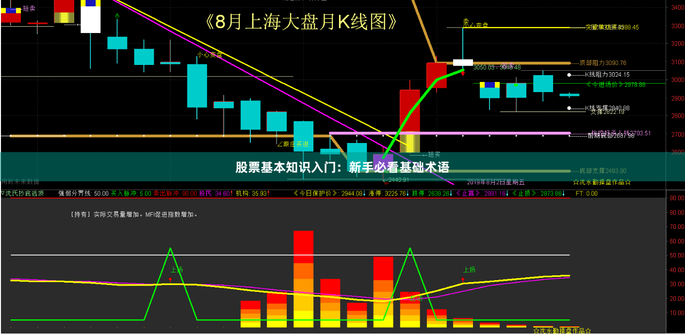 股票基本知识入门：新手必看基础术语